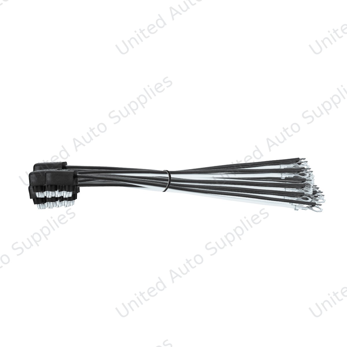 2 Wire Pigtail With 2 Prong Plug - 6" Lead (50-Pack)