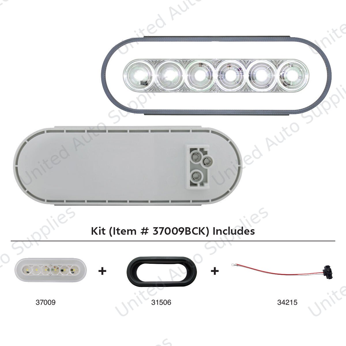 GloLight 22 LED 6" Oval Back-Up Light Kit